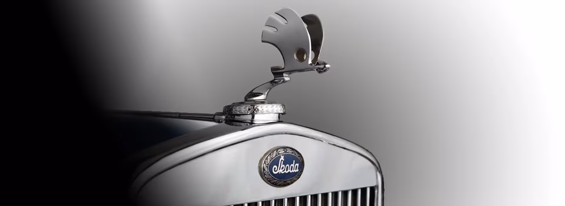 Skoda Logo History
